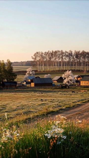 Утро в деревне: природа и спокойствие #природа #деревня #утро #пейзаж