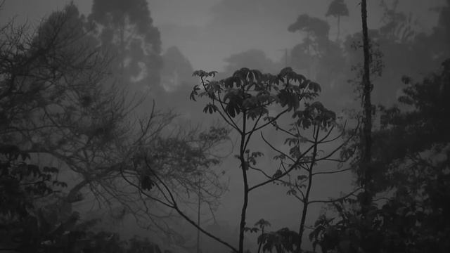 Теплый летний дождь ☔ для сна 💤