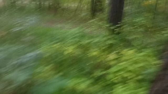 РУБРИКА ПРОГУЛКА ЭКСКУРСИЯ И МУЗ ПАУЗА