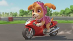 Щенячий патруль, Скай, Маршал, Эверест, Гончик, Крепыш и Роки катаются на мотоциклах. Для детей!