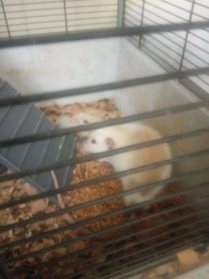 небольшая уборка в комнате