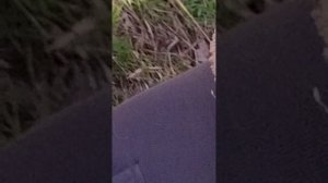 прода к видео:дом писателя(заброшка)