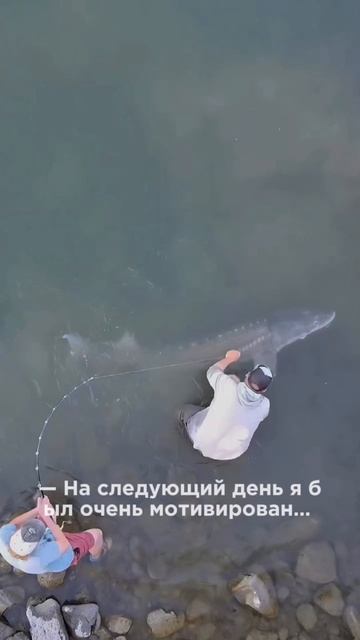 Когда лучше рыбачить на фидер?#весна#фидер#рыбалка