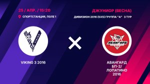 VIKING 3 2016 - Авангард БП-2/Лопатино 2016