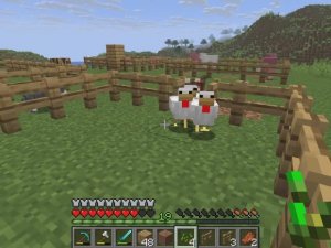 10 серия "Достойные истории" Хозяйство