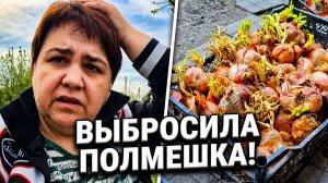 Весна, красота и полмешка лука на выброс 🧅 Готовлю любимый ужин мужа