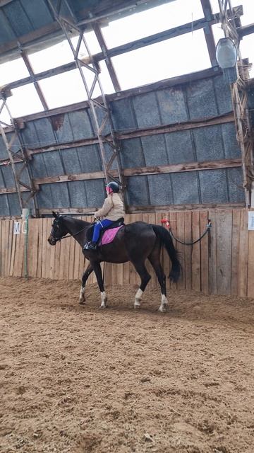 Лера и Флейта, строевая рысь по стенке в манеже.