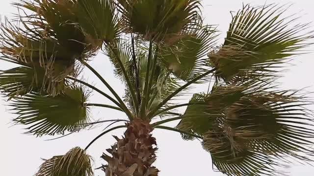 Погода в Турции.Аланья.Средиземное море.