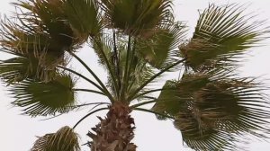 Погода в Турции.Аланья.Средиземное море.