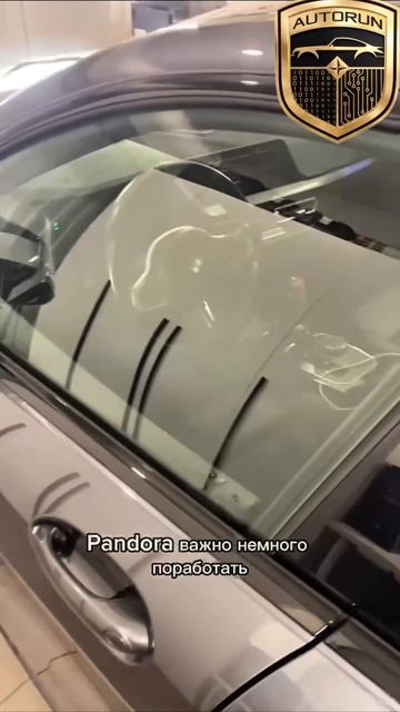 BMW 2-Series 2021 + Pandora VX4G