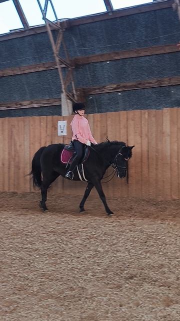Даша и Наоми, галоп по стенке в манеже.