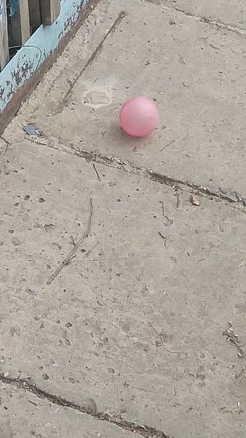 VID_20260405_100329.mp4