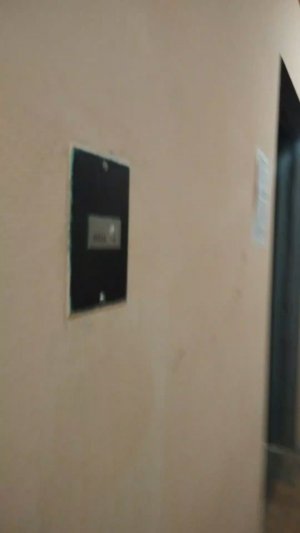 Мы идём гулять с собакой! | 25-апр-2026 3