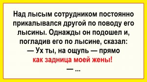 Про лысого сотрудника. Подборка Пикантных, Остреньких, Жизненных Анекдотов! Юмор! Смех! Позитив!