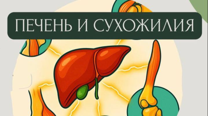 Как связаны печень, суставы и сухожилия? Плюс практика для подъема энергии