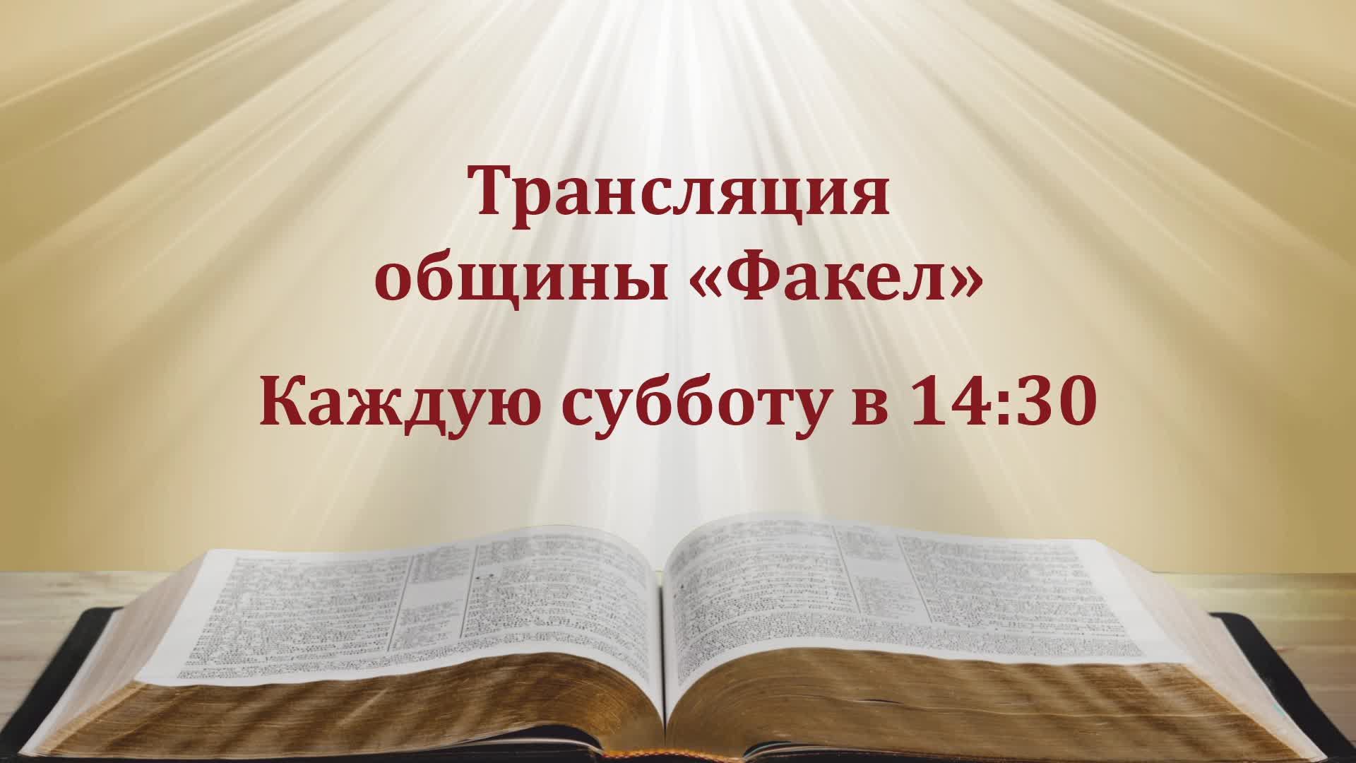 Плыви к свету. HASD Fakel 25.04.2026.