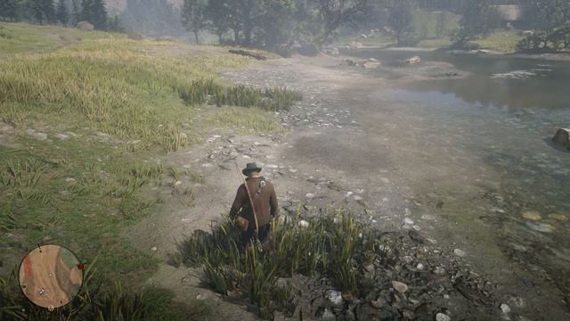 Red Dead Redemption 2 часть 10