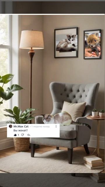 Бела увела,ответы на вопросы!🐱загляните в описание пожалуйста.