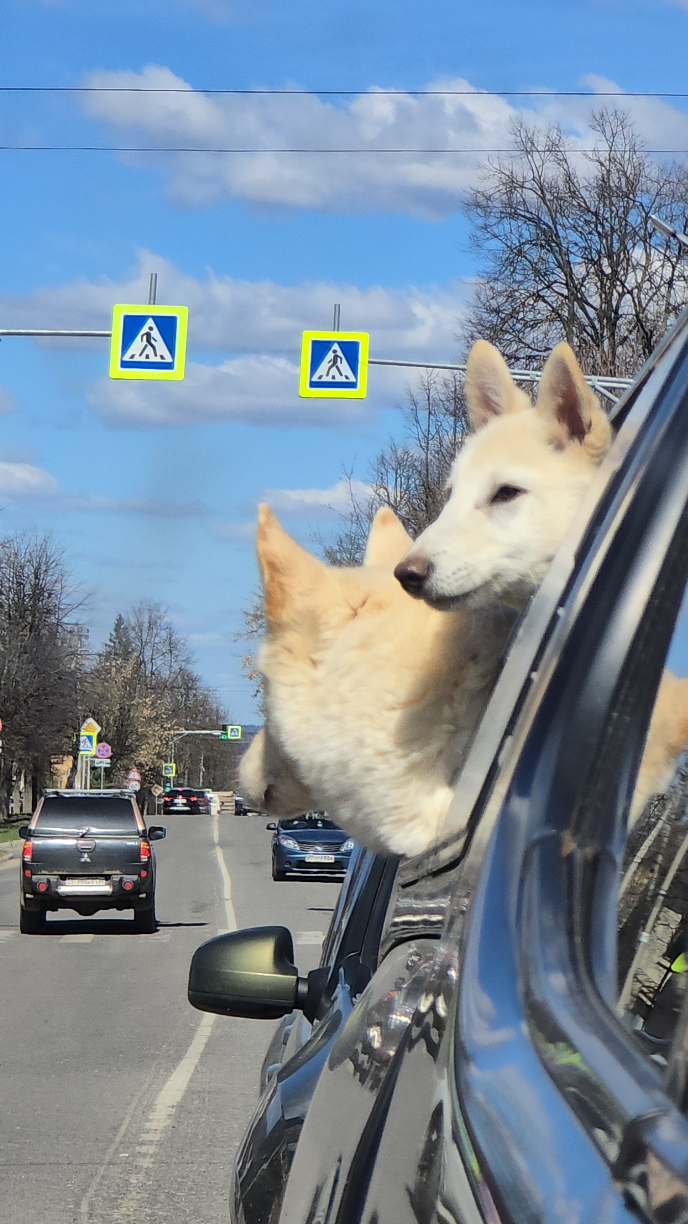 В окнах дороги