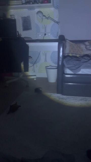 Скажите в коментах секретное слово #фнафSL