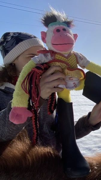 1. СказкоИппоТерапия - Продолжение истории про Гонщика и его команду от 28.03