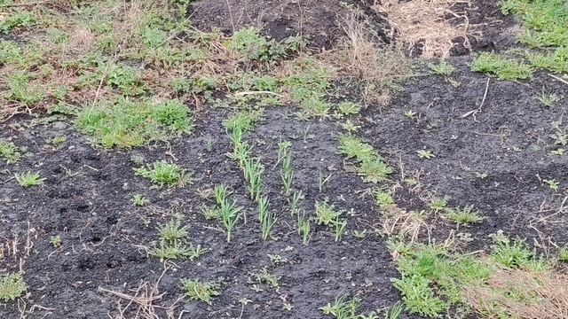 уют деревенской жизни