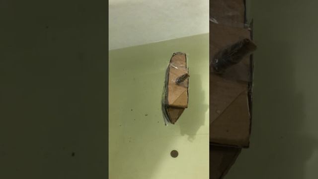 Самое удачное потопление пассажирского лайнера из картона