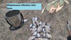 Рыбалка на боковой кивок. Напаял мормышек и понеслась!