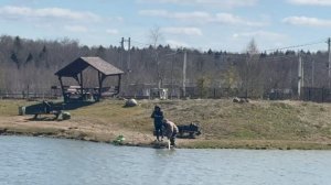 поимка форели