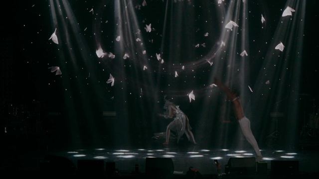 Экшн-шоу «Dynamite”   «Эффект бабочки»