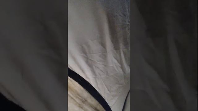 Настю атаковали Алеуты