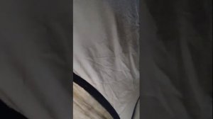 Настю атаковали Алеуты