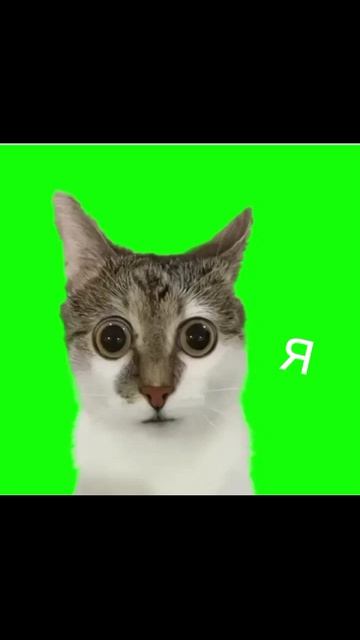 когда мы с лп не готовились к контрольной