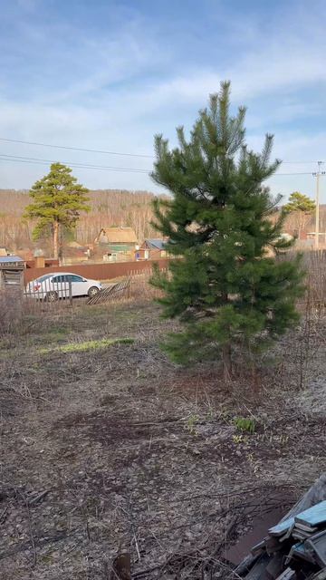 copy_3A961064-F31B-4144-B242-C66AAB3E6A77