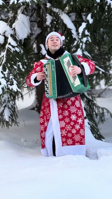 С наступающим друзья! #баянист #новыйгод