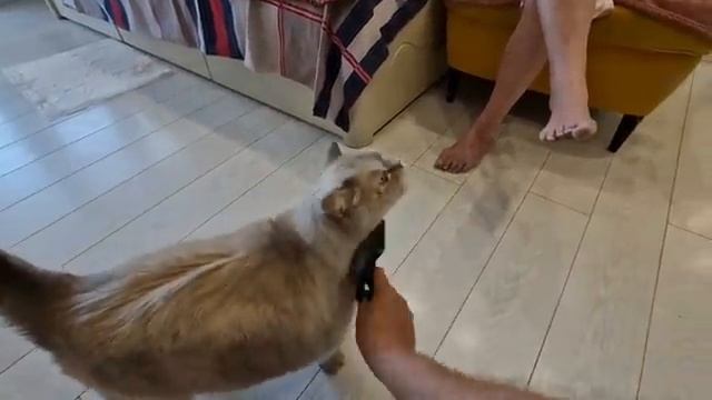 САМВЕЛ АДАМЯН, ПО ПРОСЬБАМ ЗРИТЕЛЕЙ, ПЕРЕПУТАЛА ДЕНЬ С НОЧЬЮ..