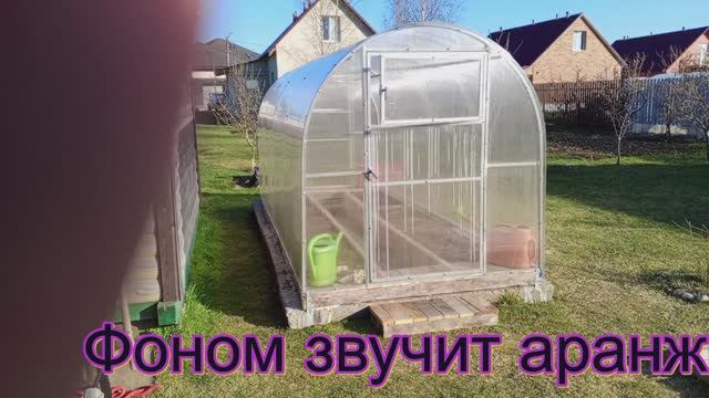 Радующие результаты труда. Теплица. +история