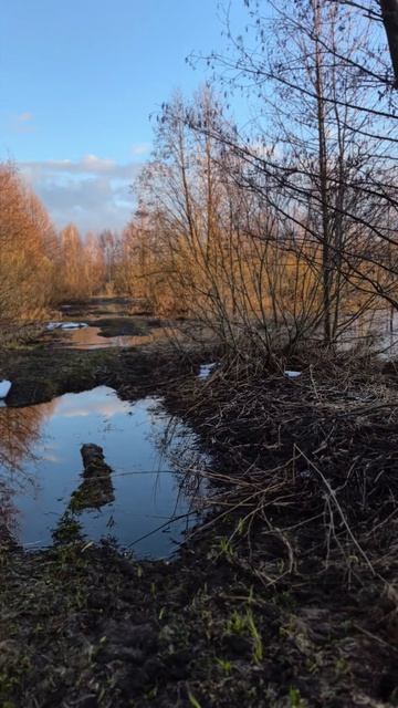 Продолжение прогулки!