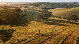 My Life Consists Only of Work