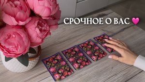✨СРОЧНОЕ О ВАС✨🩷🦋🌿 таро онлайн, гадание онлайн