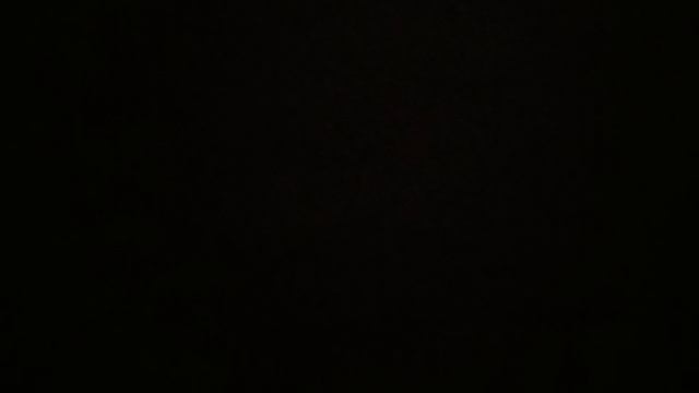 Кошки спят но Милси не спит.mp4