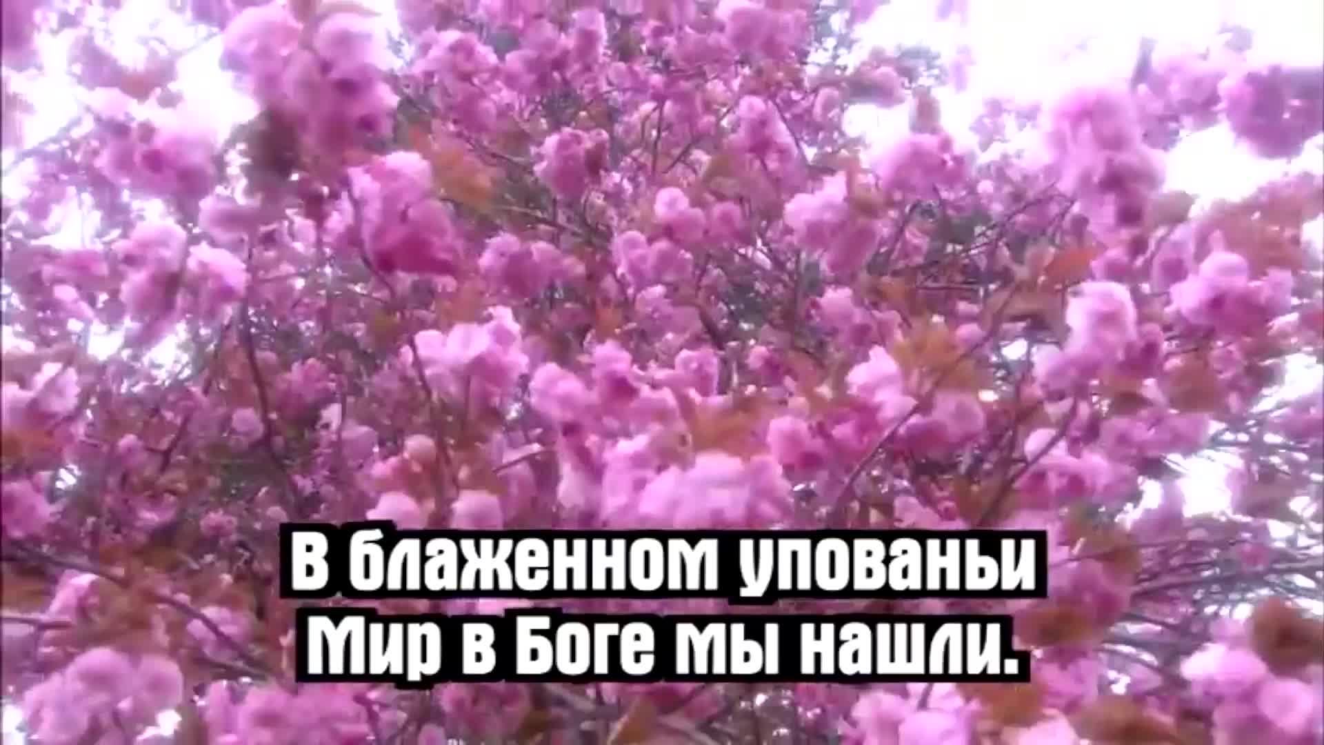 Библия онлайн | Книга Руфь, 4 глава