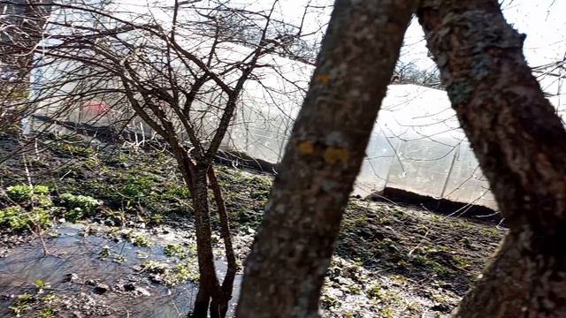 Мой сад и огород весной после таяния снега.