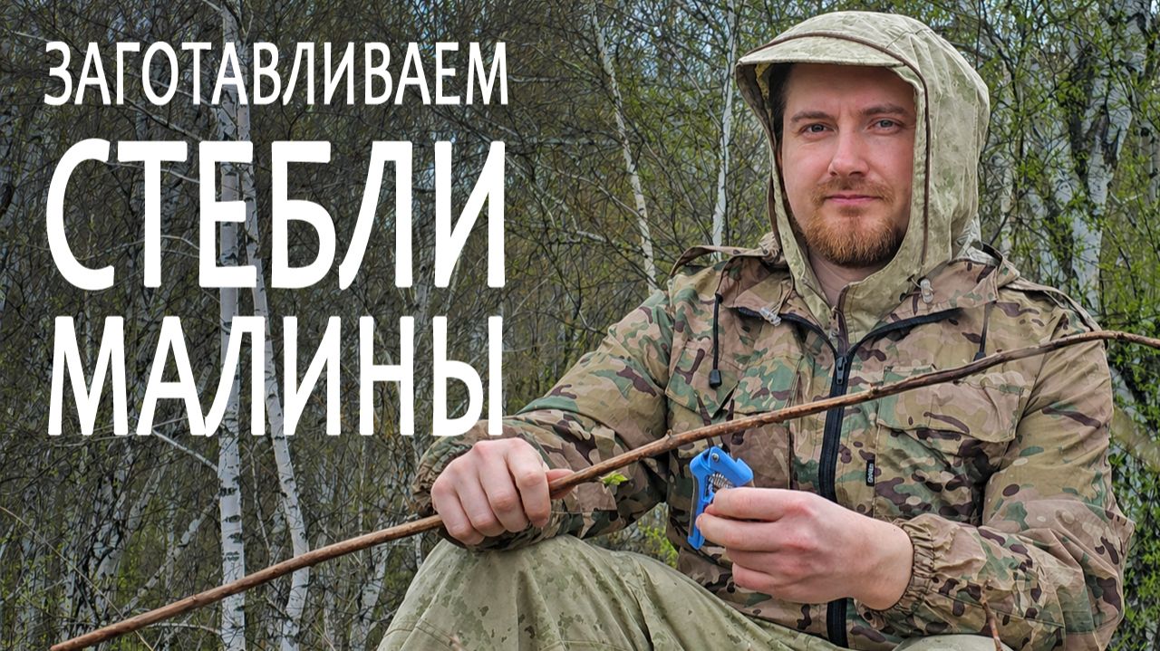 Открываю сезон сбора лекарственных трав