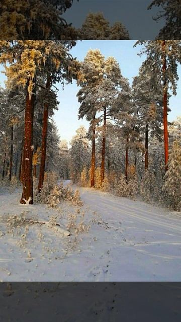 Красивая грусть