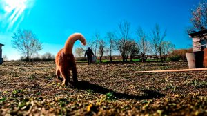 Убрался по-хозяйски, помастерил с любовью. Деревенские будни