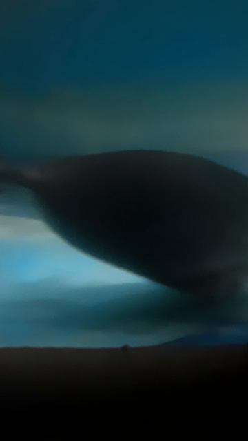 Посмотрите на этих пухляшей! 🦭 Нерпа — единственный в мире пресноводный тюлень и главный символ Бай