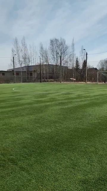 г.Гатчина 12 апреля