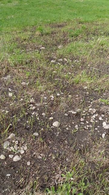 Камни в почве...