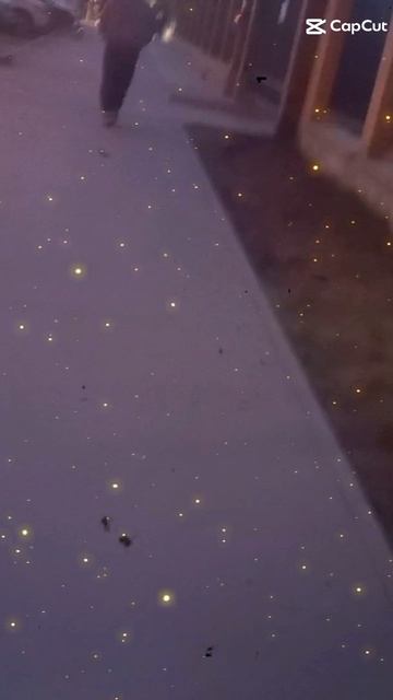 Новосибирск. 1 часть